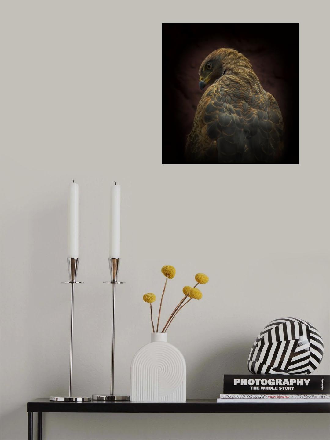 Somebody watch me-Savanna Hawk Poster och Canvastavla