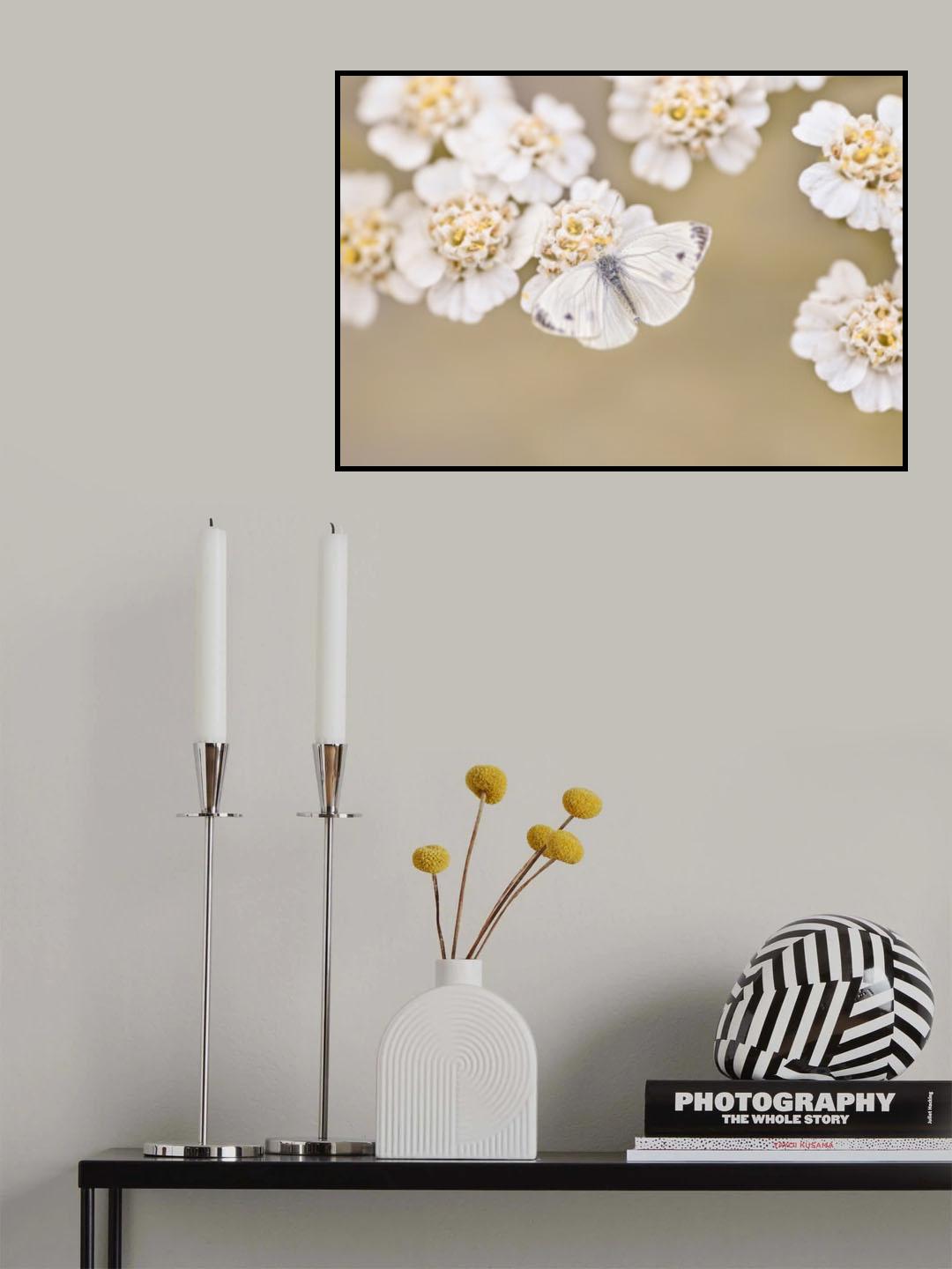 Poster och Canvastavla