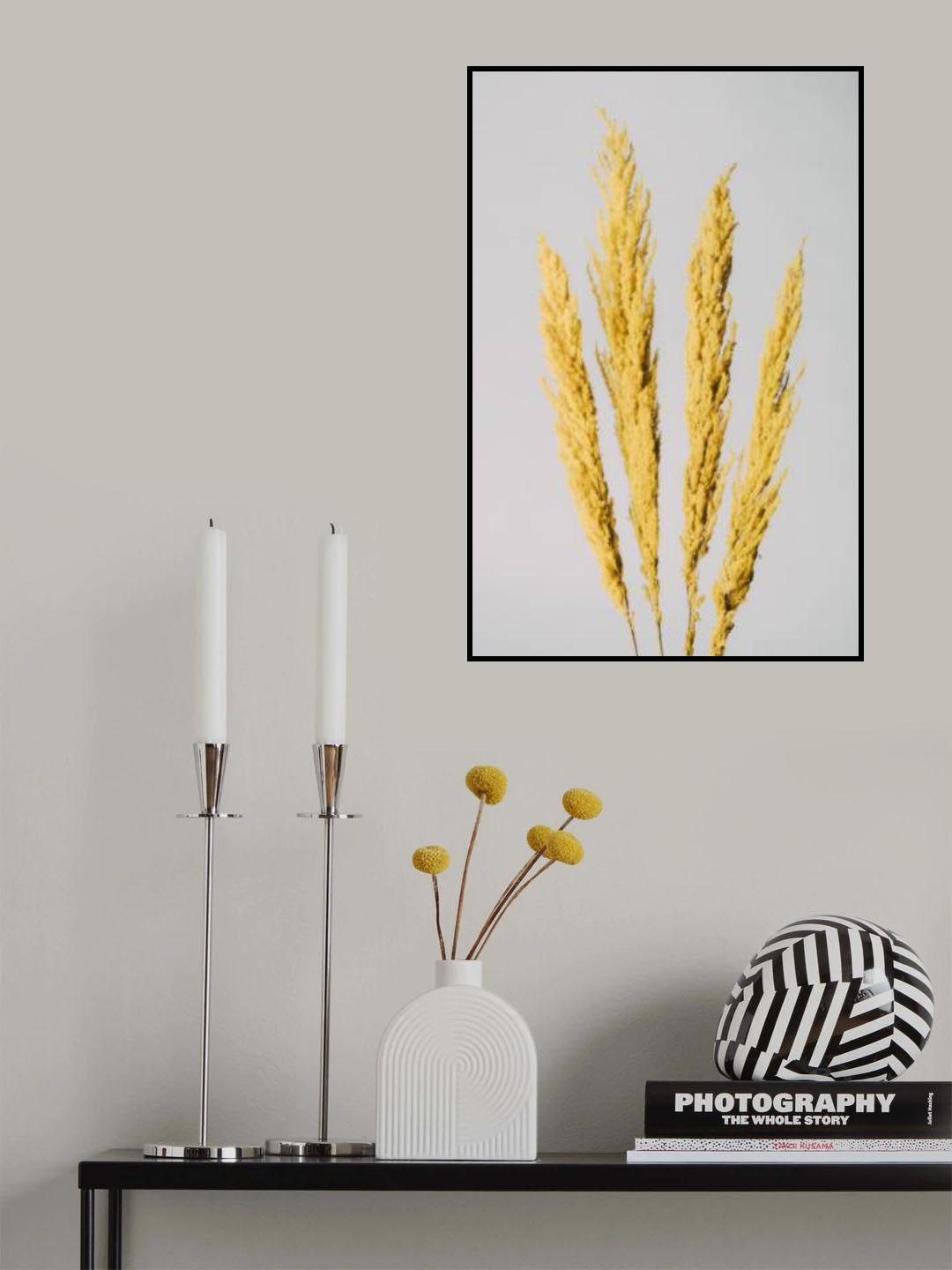 Yellow Grass Poster och Canvastavla