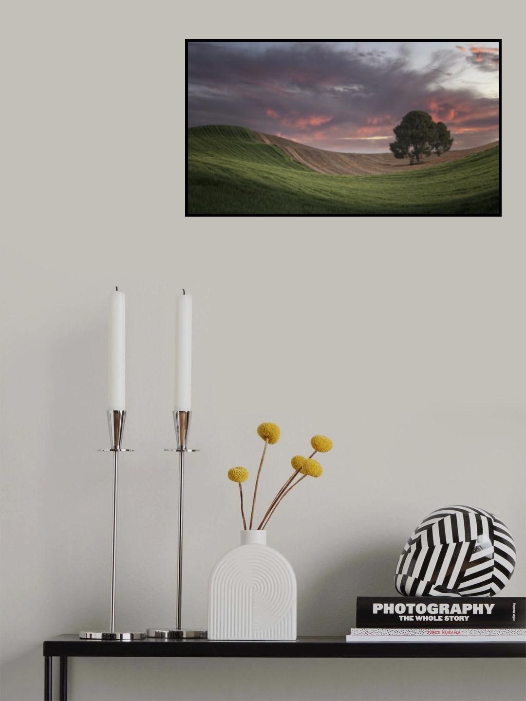 Sunset colors in the fields of Andalusia (Spain) Poster och Canvastavla