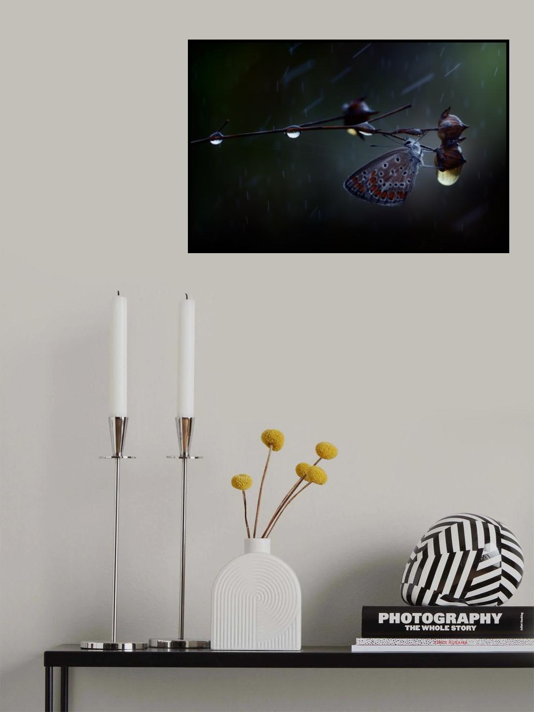 In the rain... Poster och Canvastavla