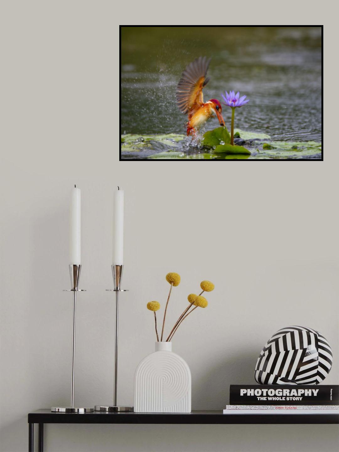 Yellow King Fisher Poster och Canvastavla