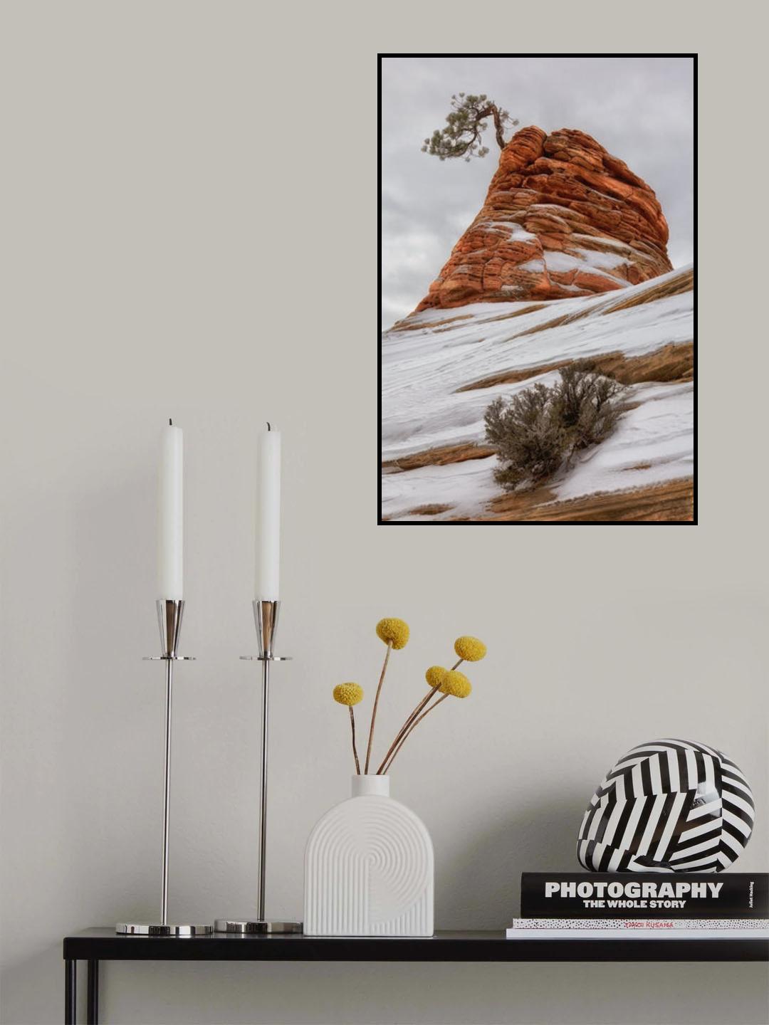 * Poster och Canvastavla