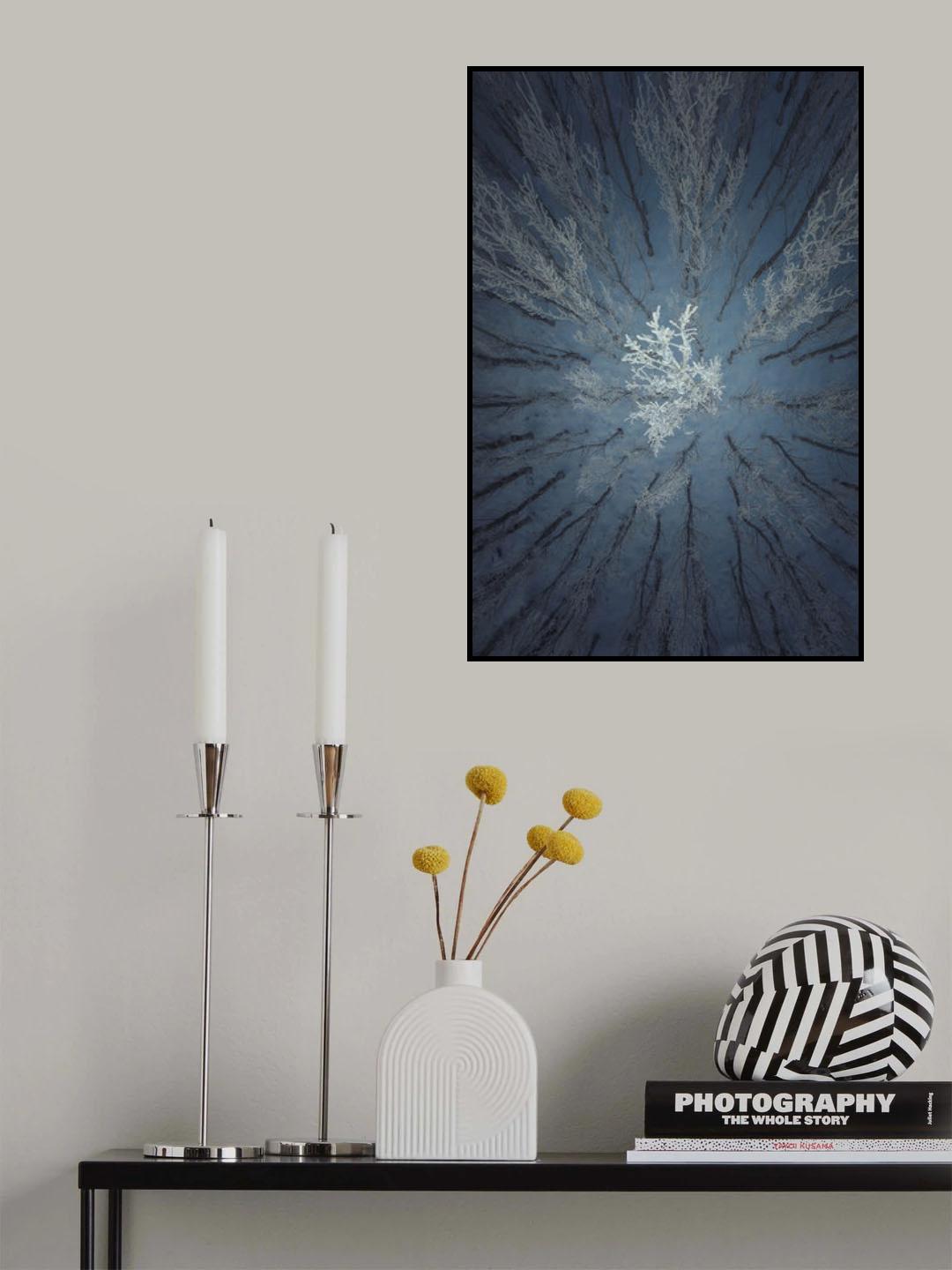 Aerial Snow Tree Poster och Canvastavla