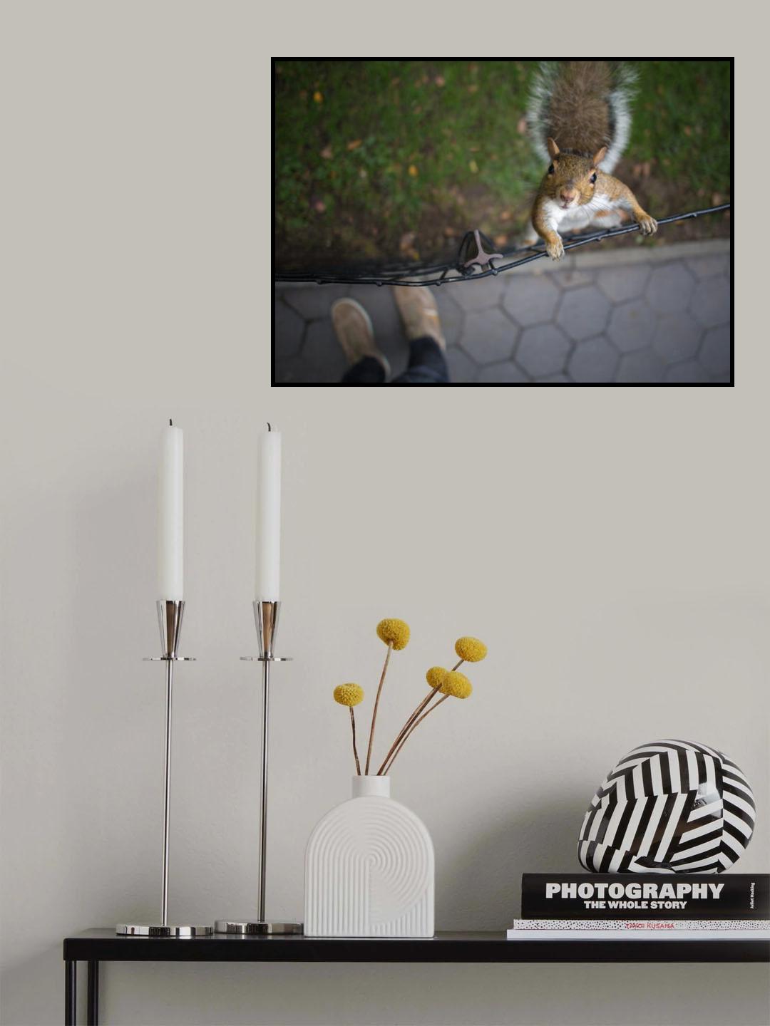Got Nuts? Poster och Canvastavla