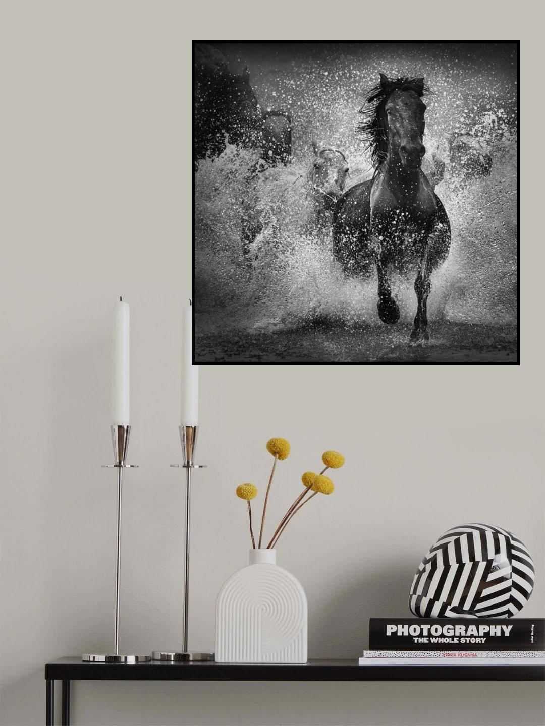 Prince of Dark Horse Poster och Canvastavla