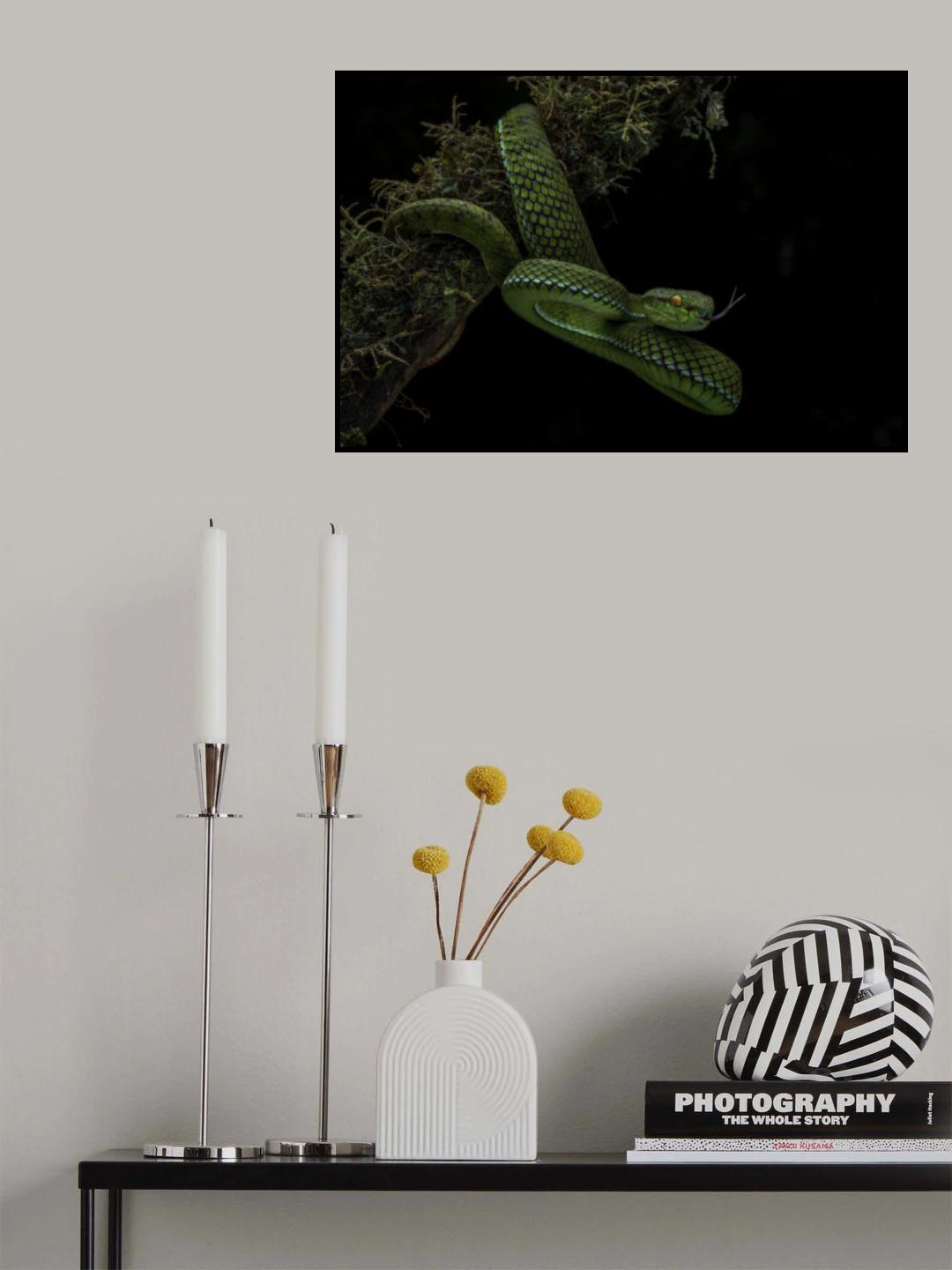 Waiting patiently Poster och Canvastavla