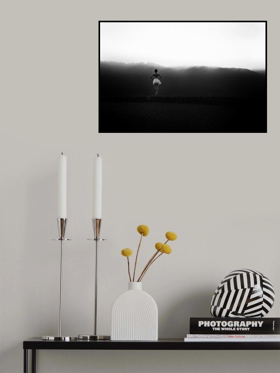 n/t Poster och Canvastavla