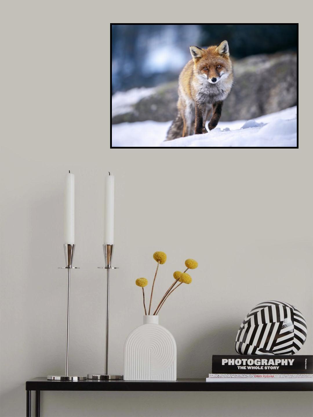 Walk in the snow Poster och Canvastavla