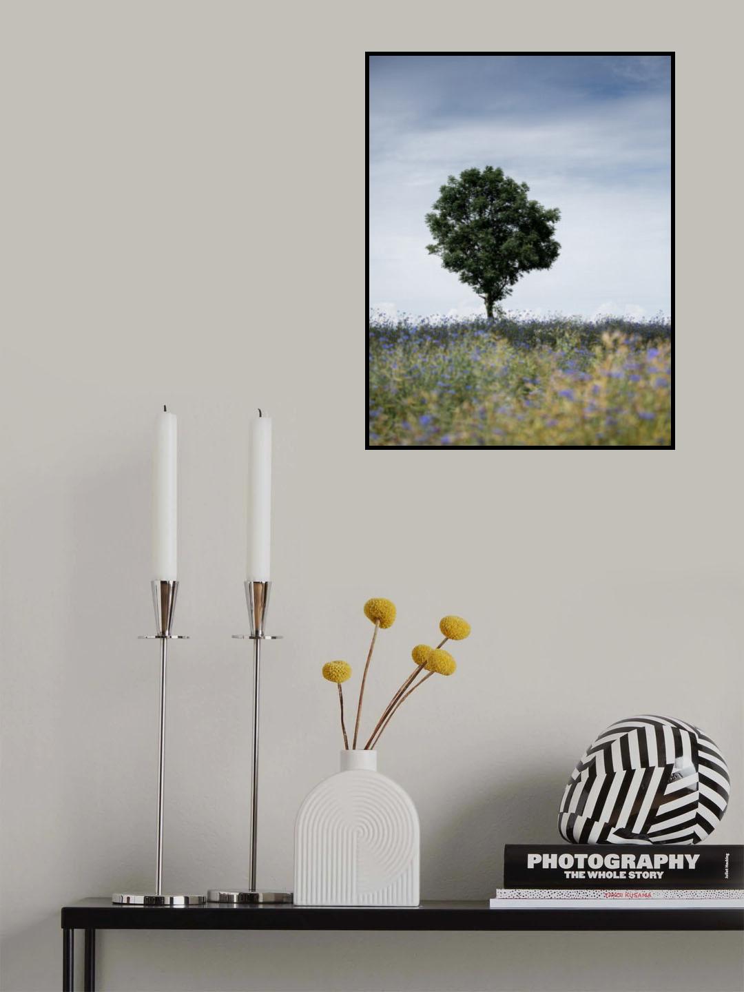 Summer Meadow Poster och Canvastavla