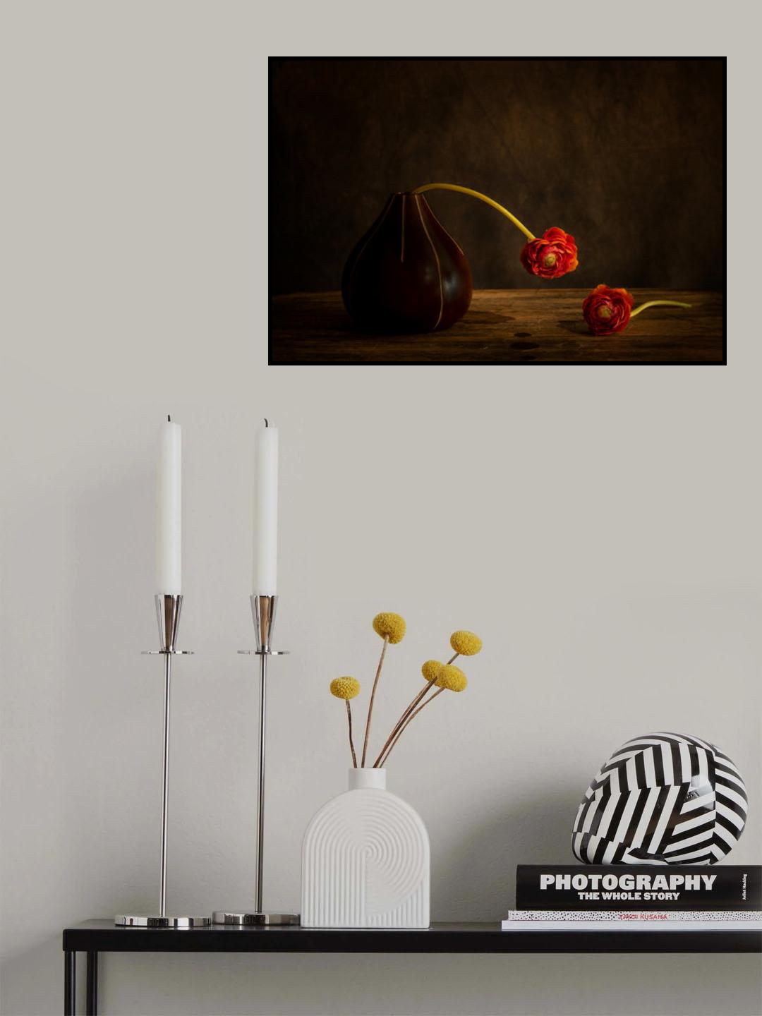 Ranunculus flower Poster och Canvastavla