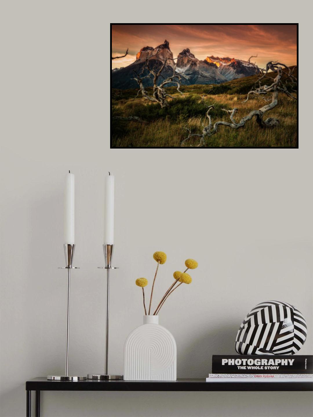 Torres Del Paine in sunrise Poster och Canvastavla
