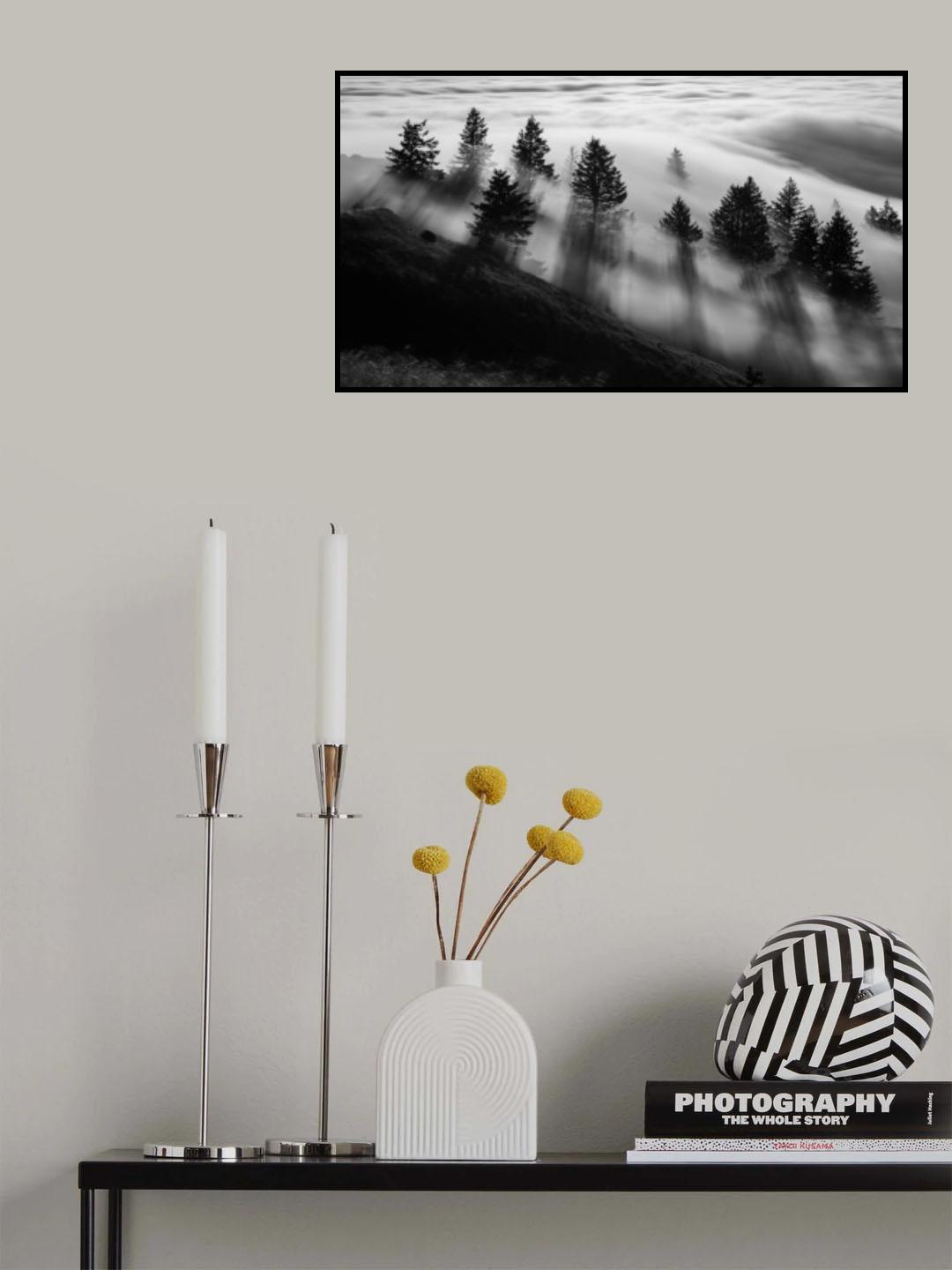 Chasing Shadows Poster och Canvastavla