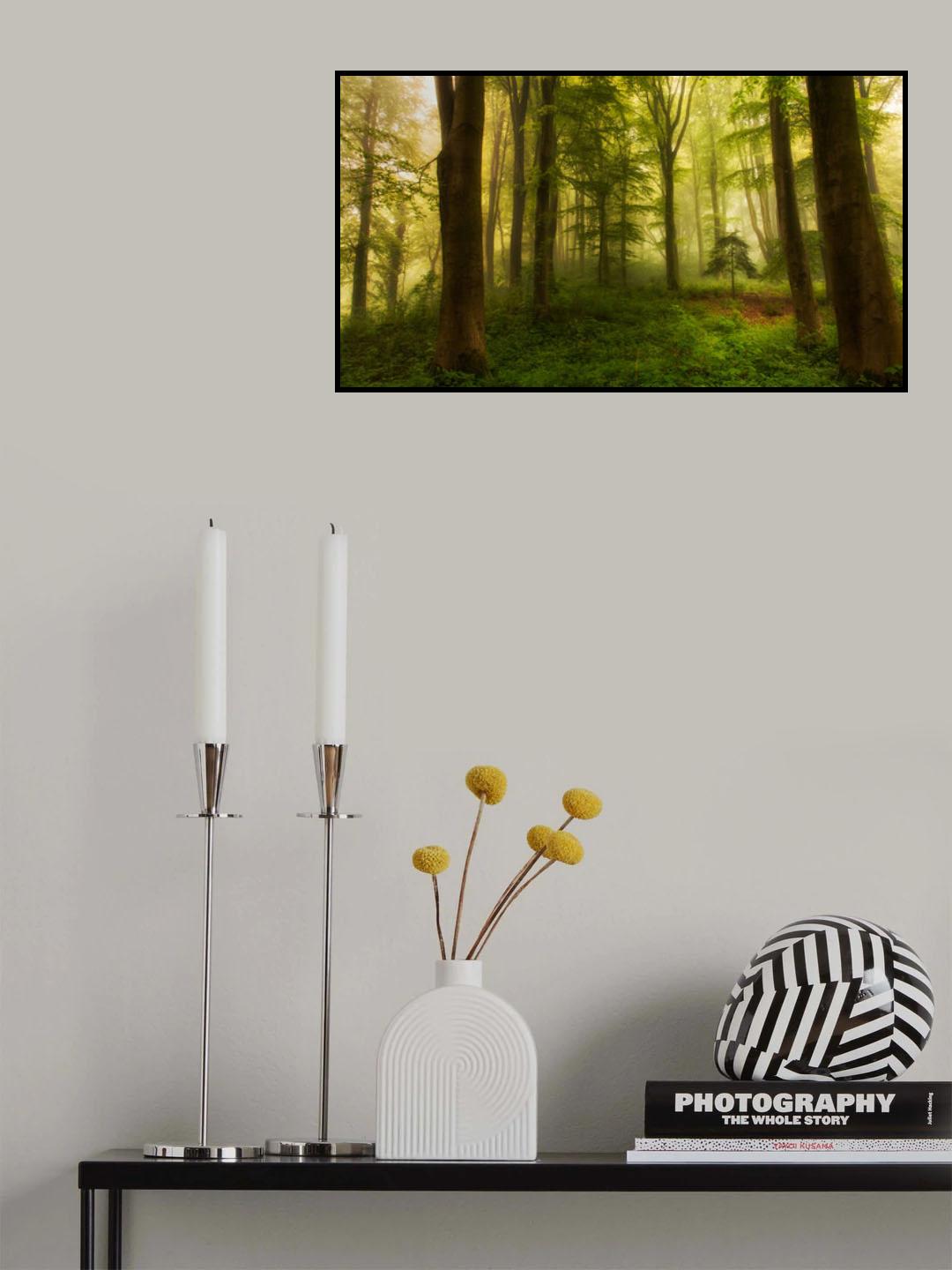 The little tree Poster och Canvastavla