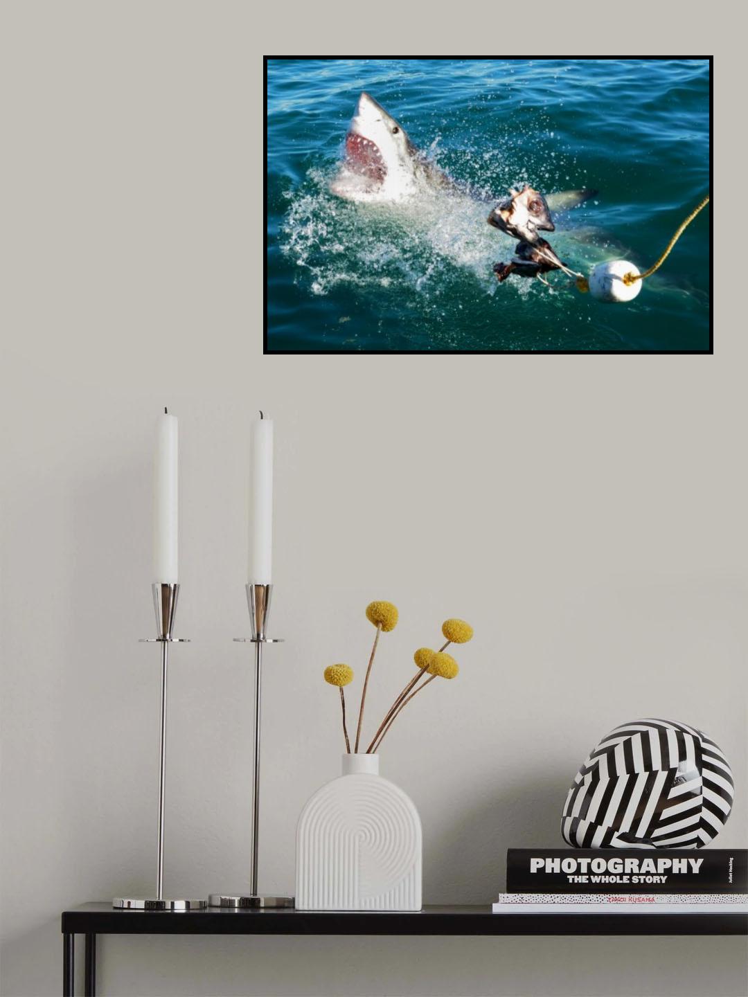Shark Attack Poster och Canvastavla