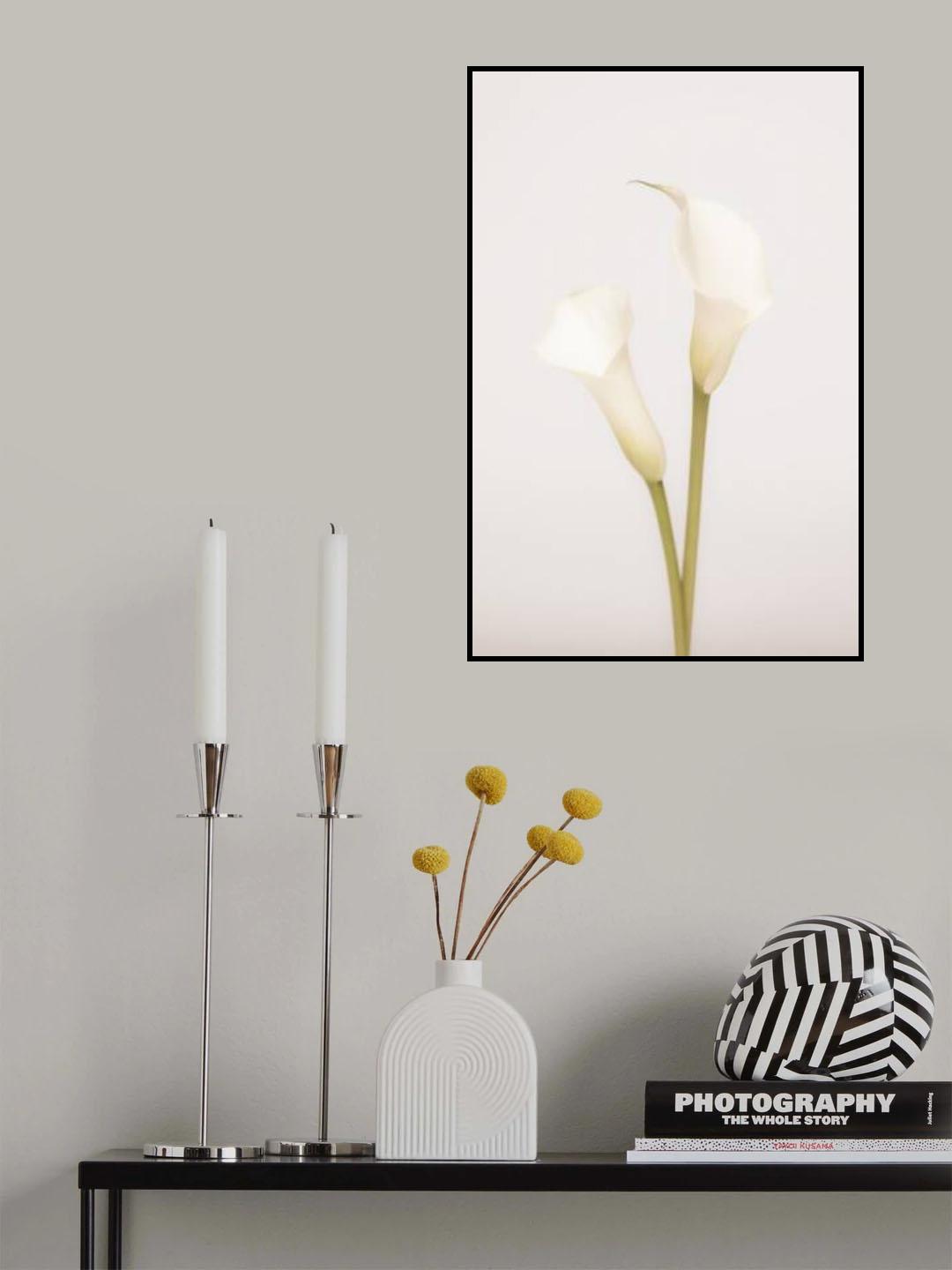 White Calla Lily No 1 Poster och Canvastavla