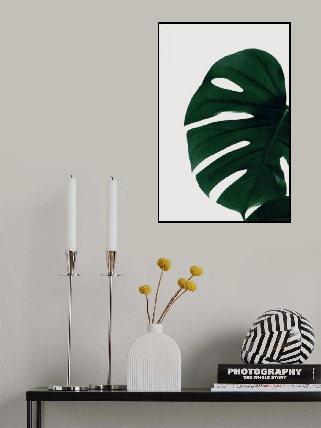 Monstera Natural 30 Poster och Canvastavla