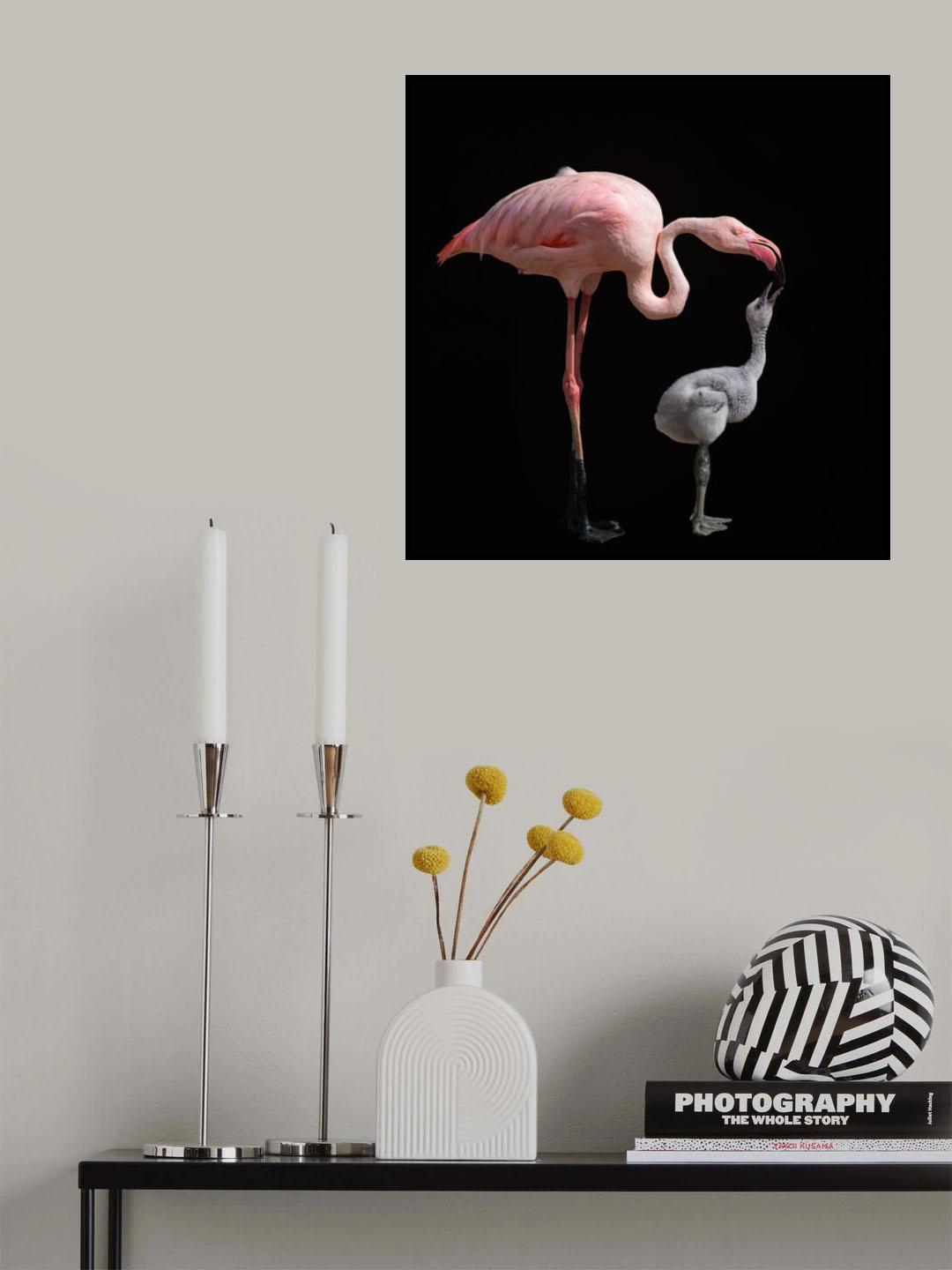 Become pink Poster och Canvastavla