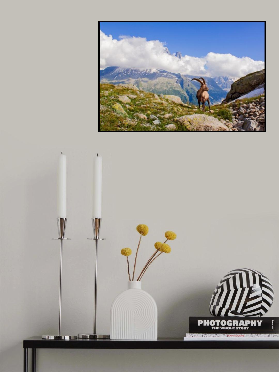 The king of Mont Blanc Poster och Canvastavla