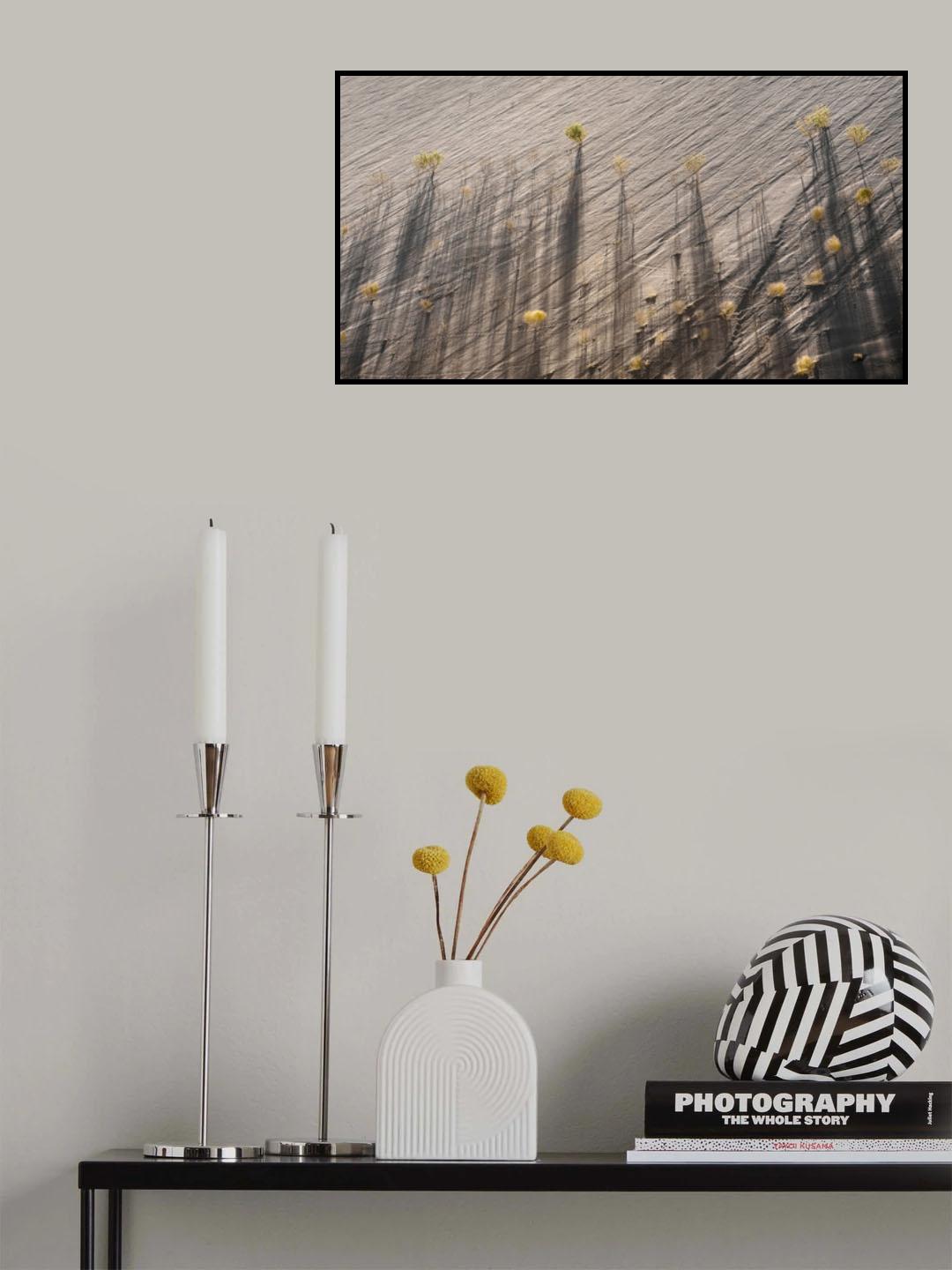 Dune Shadows Poster och Canvastavla