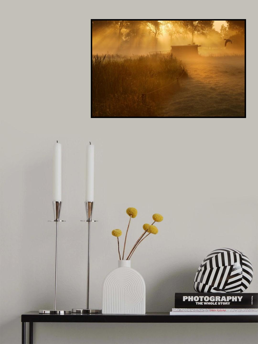 Beestenkot in de ochtendnevel Poster och Canvastavla
