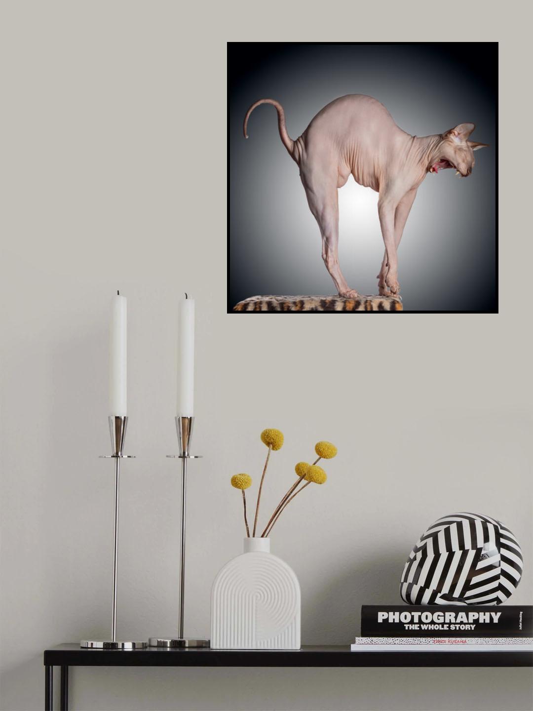 Sphinx Poster och Canvastavla