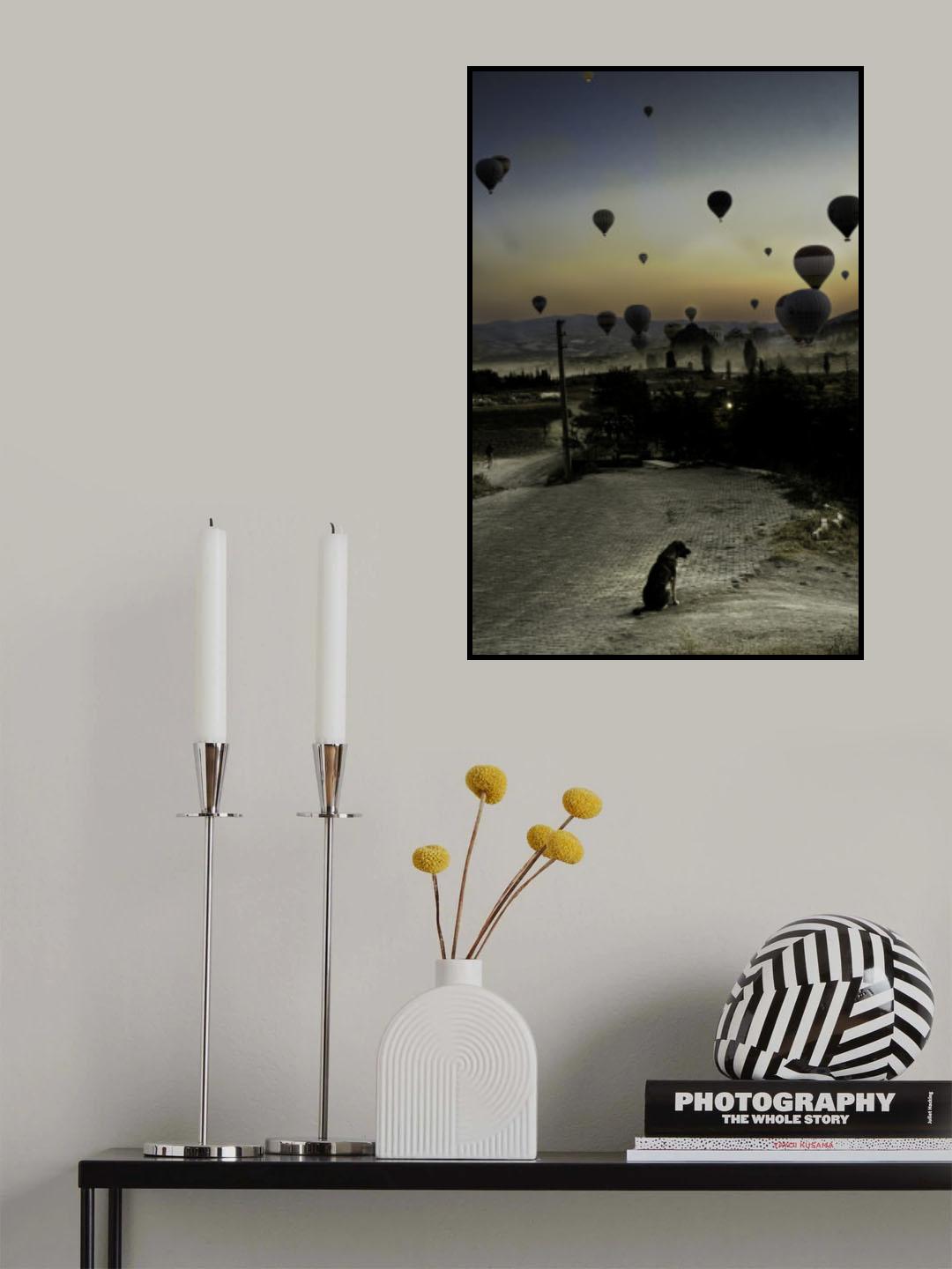 Balloons and one dog Poster och Canvastavla