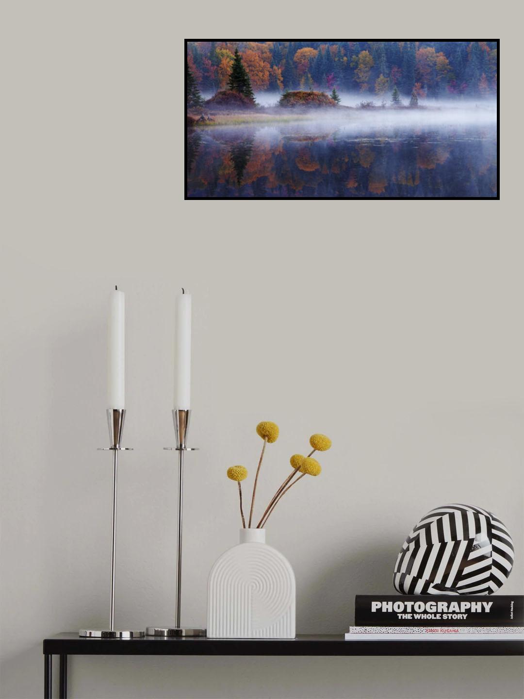 Laurentian Forest Poster och Canvastavla