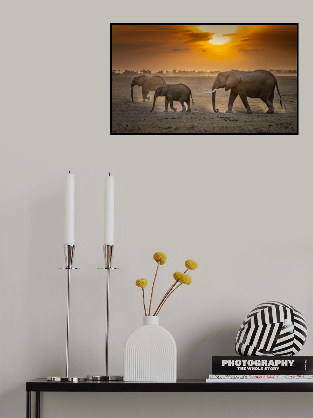 Amber sunrise Poster och Canvastavla