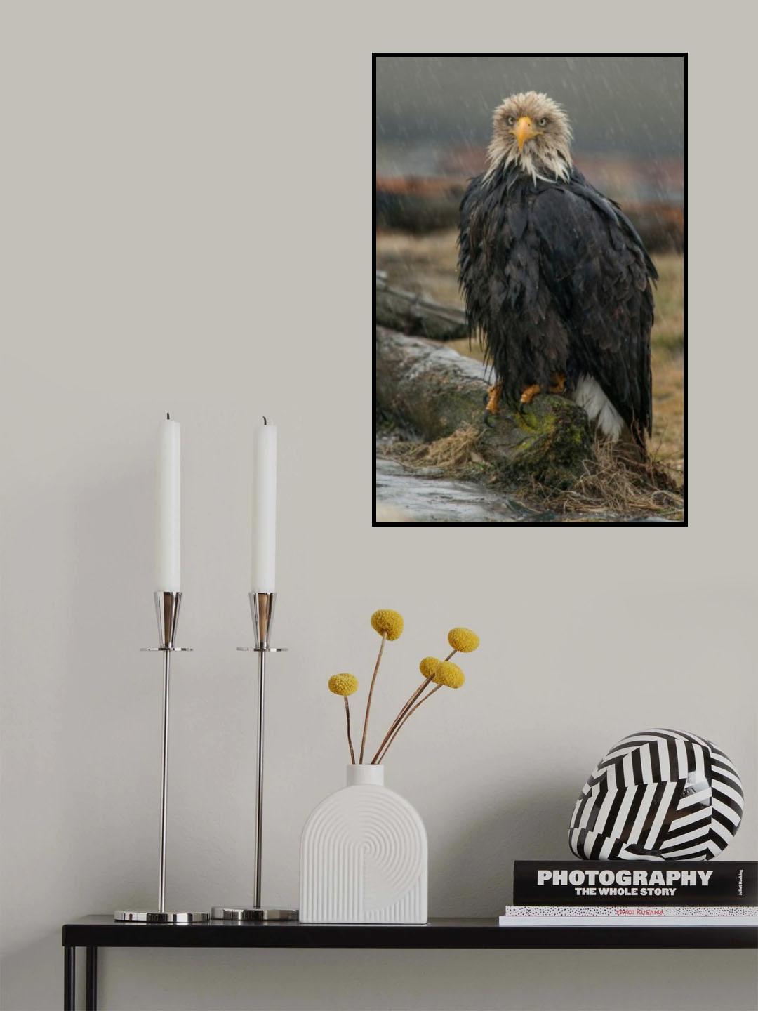 Frustration!!! Poster och Canvastavla