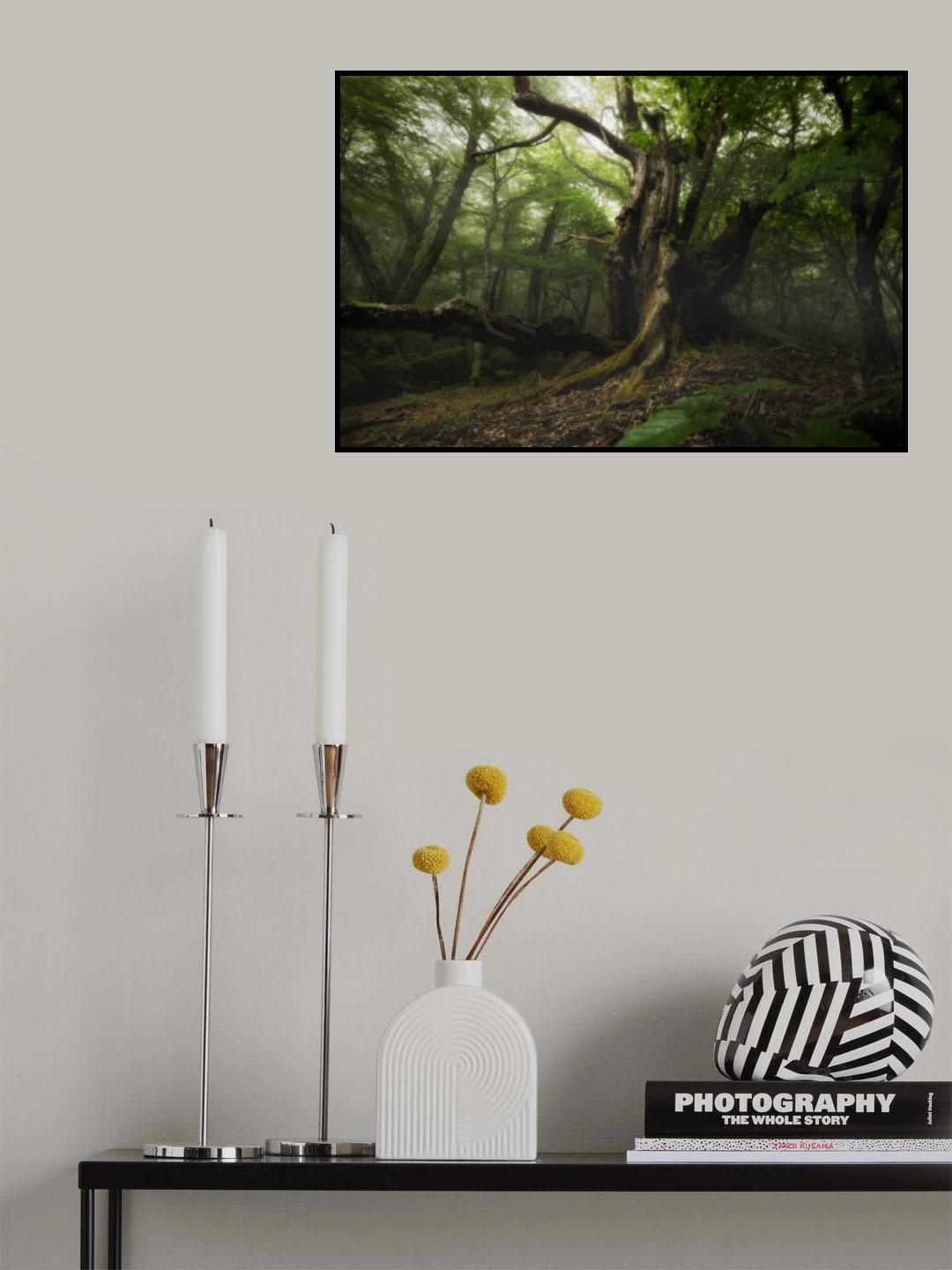 Poster och Canvastavla