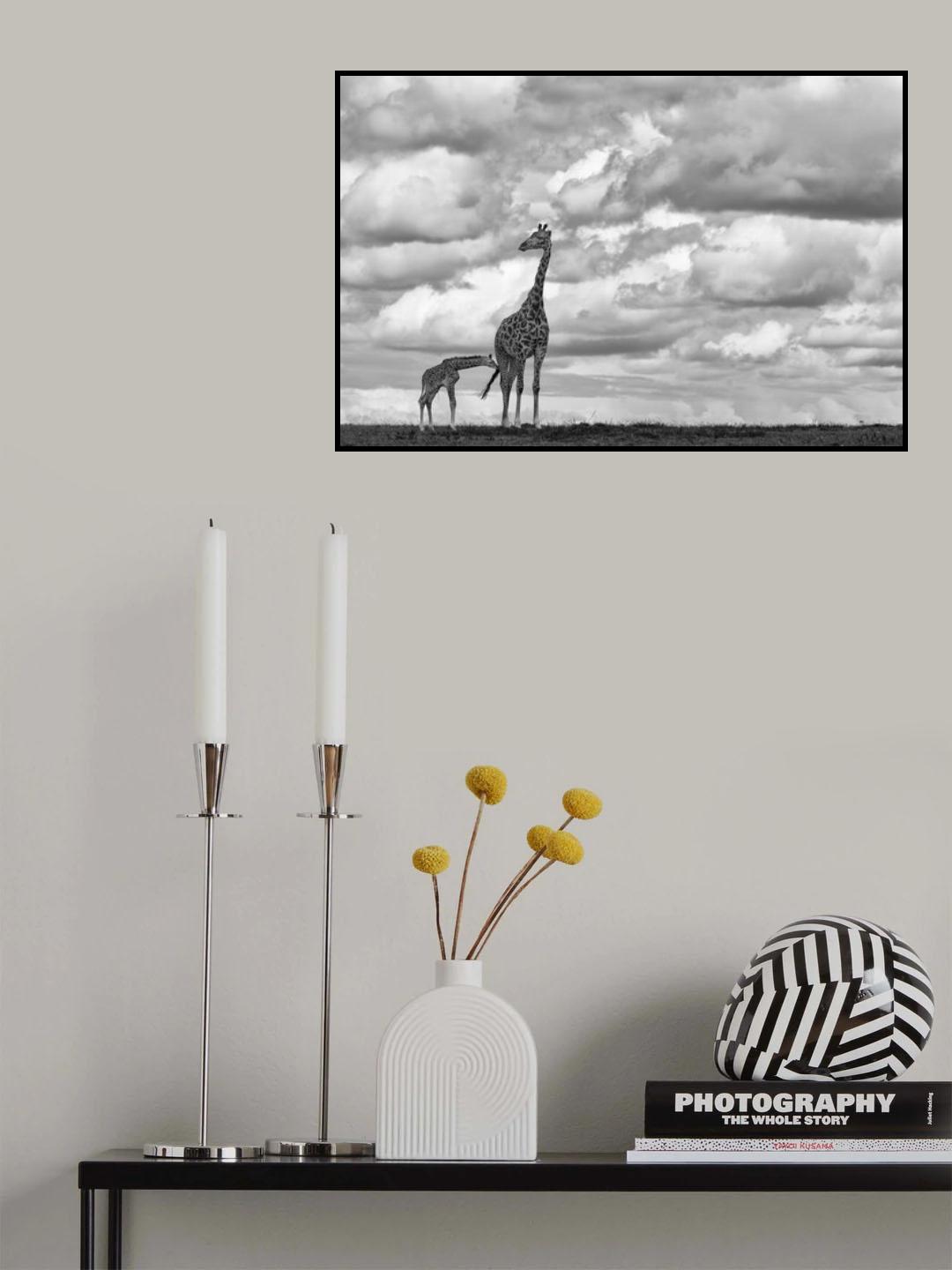 Watching for Lions Poster och Canvastavla