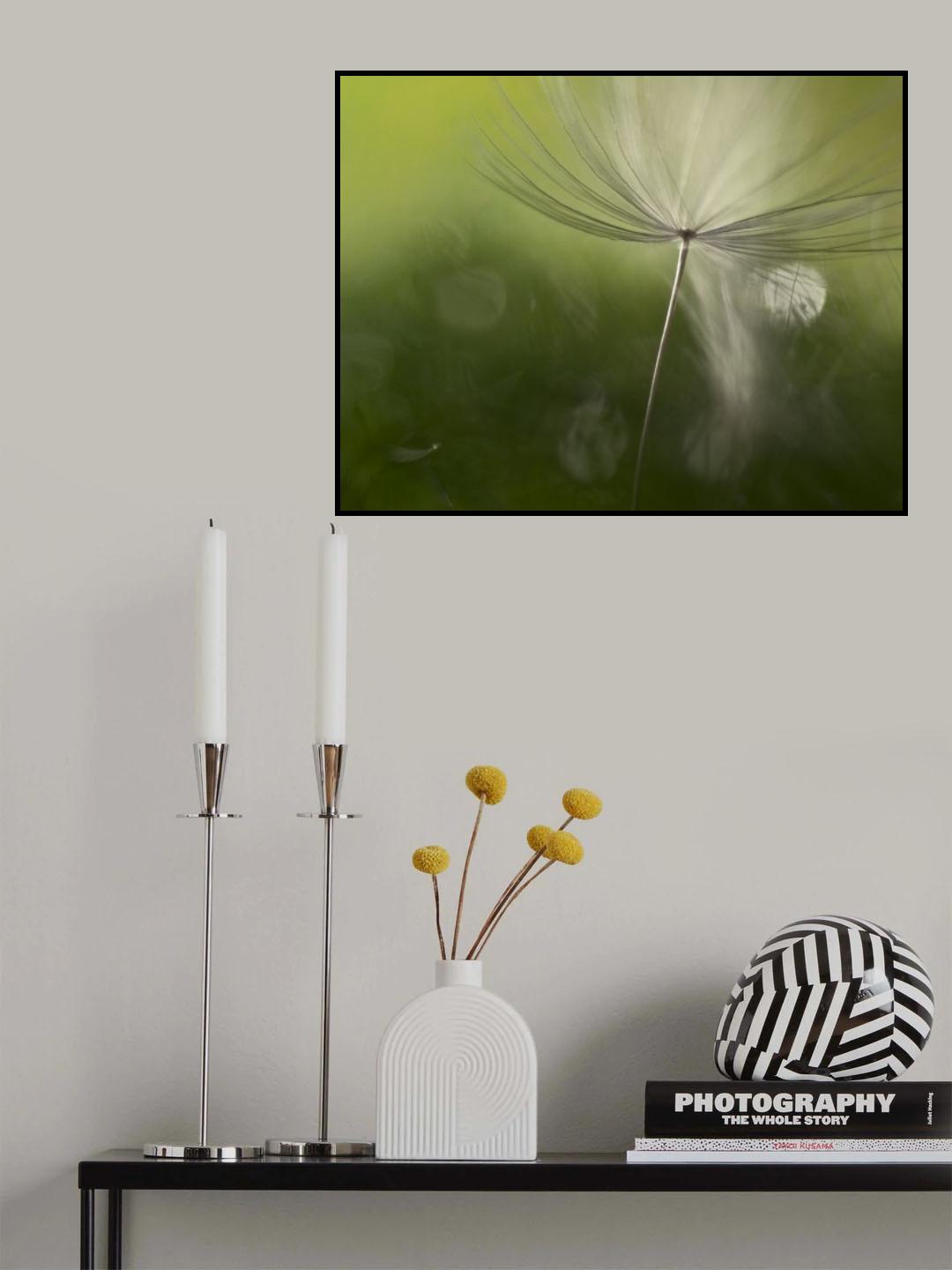 Shadows in the green Poster och Canvastavla