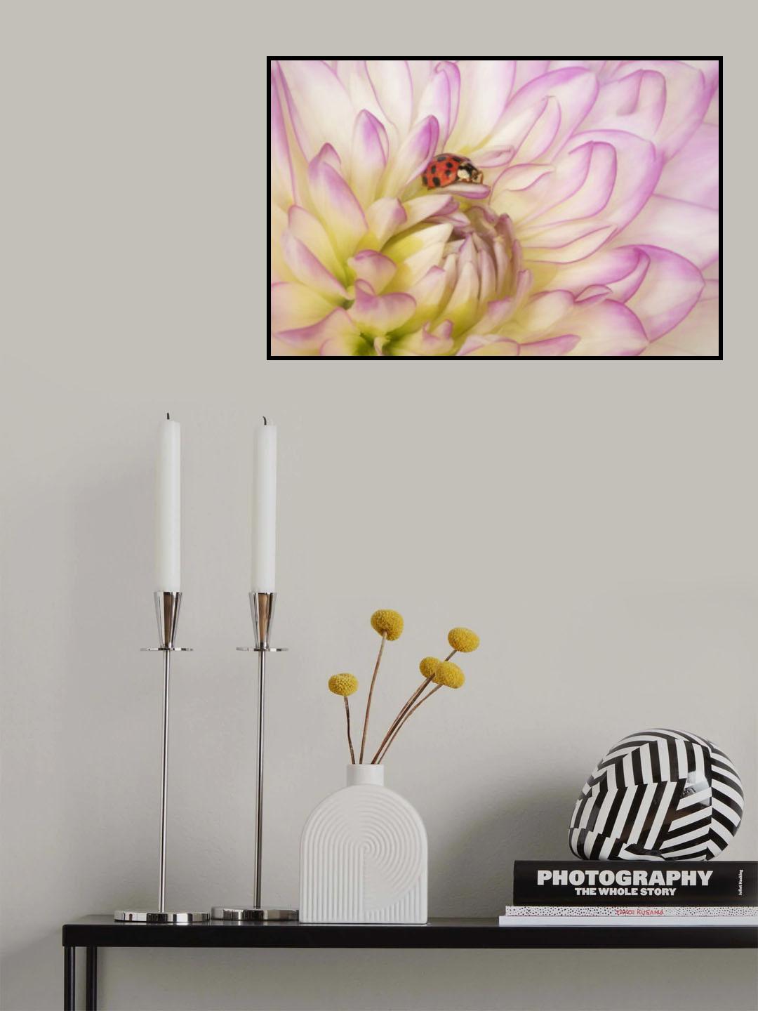 The Lady Poster och Canvastavla