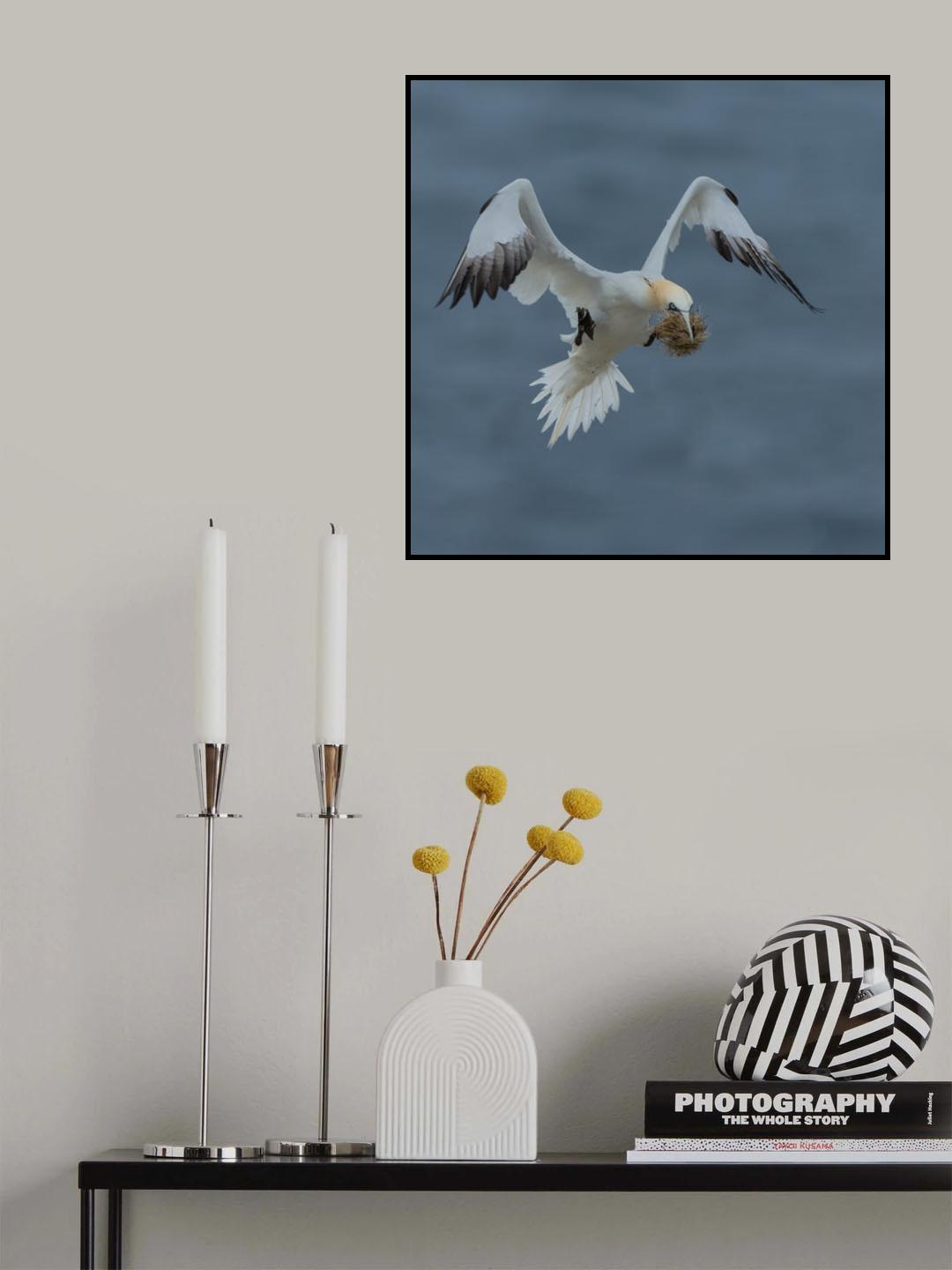 This is what she needs Poster och Canvastavla