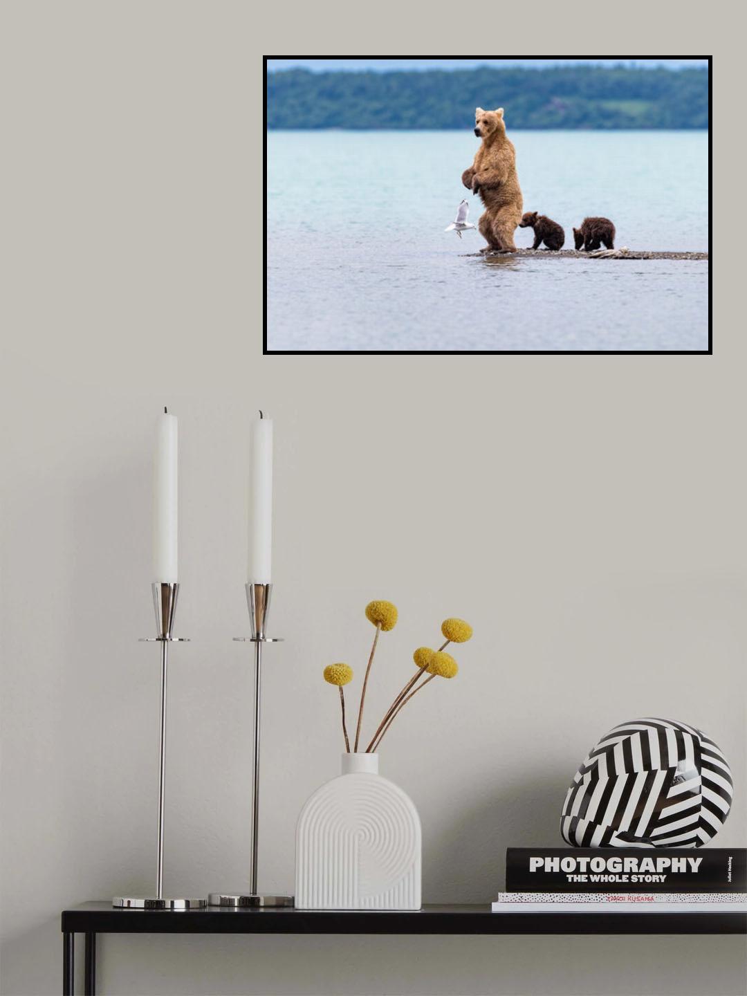 Looking for fish Poster och Canvastavla
