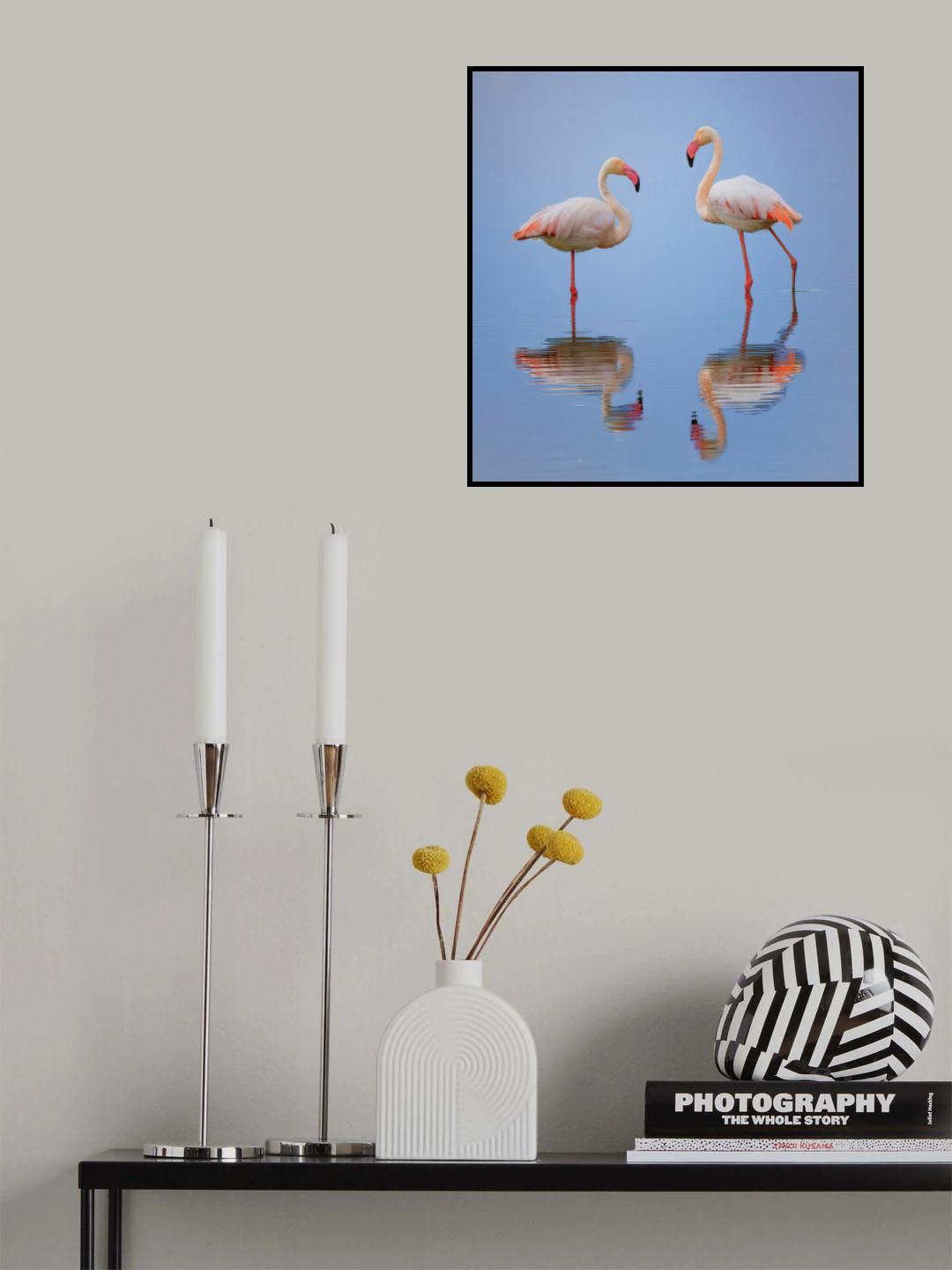 Don't disturb me Poster och Canvastavla