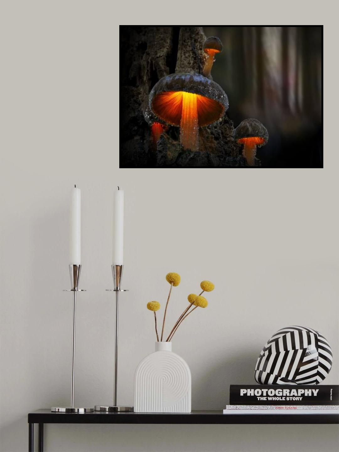 Beautiful mushrooms on an old rotten tree Poster och Canvastavla