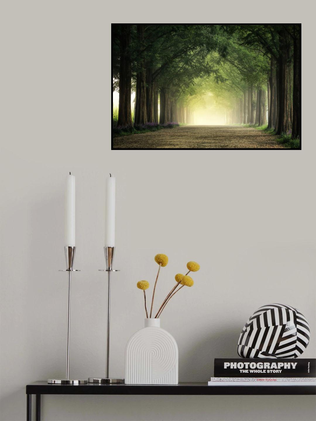 Foggy morning Poster och Canvastavla