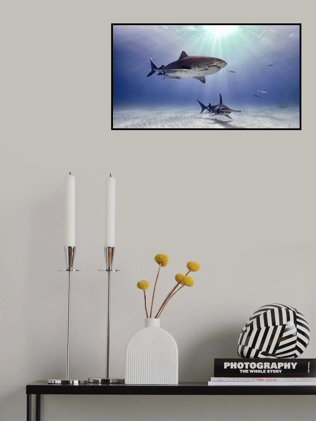 Two queens for a kingdom Poster och Canvastavla