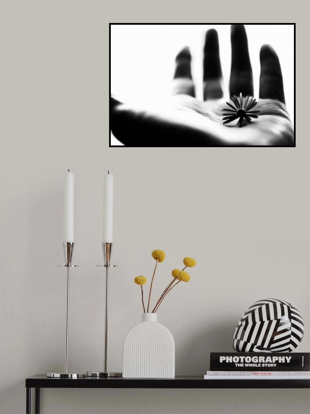 One life Poster och Canvastavla