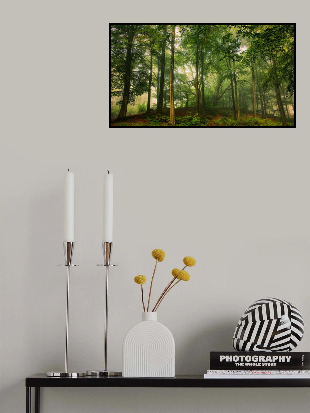 Welcome in the forest. Poster och Canvastavla