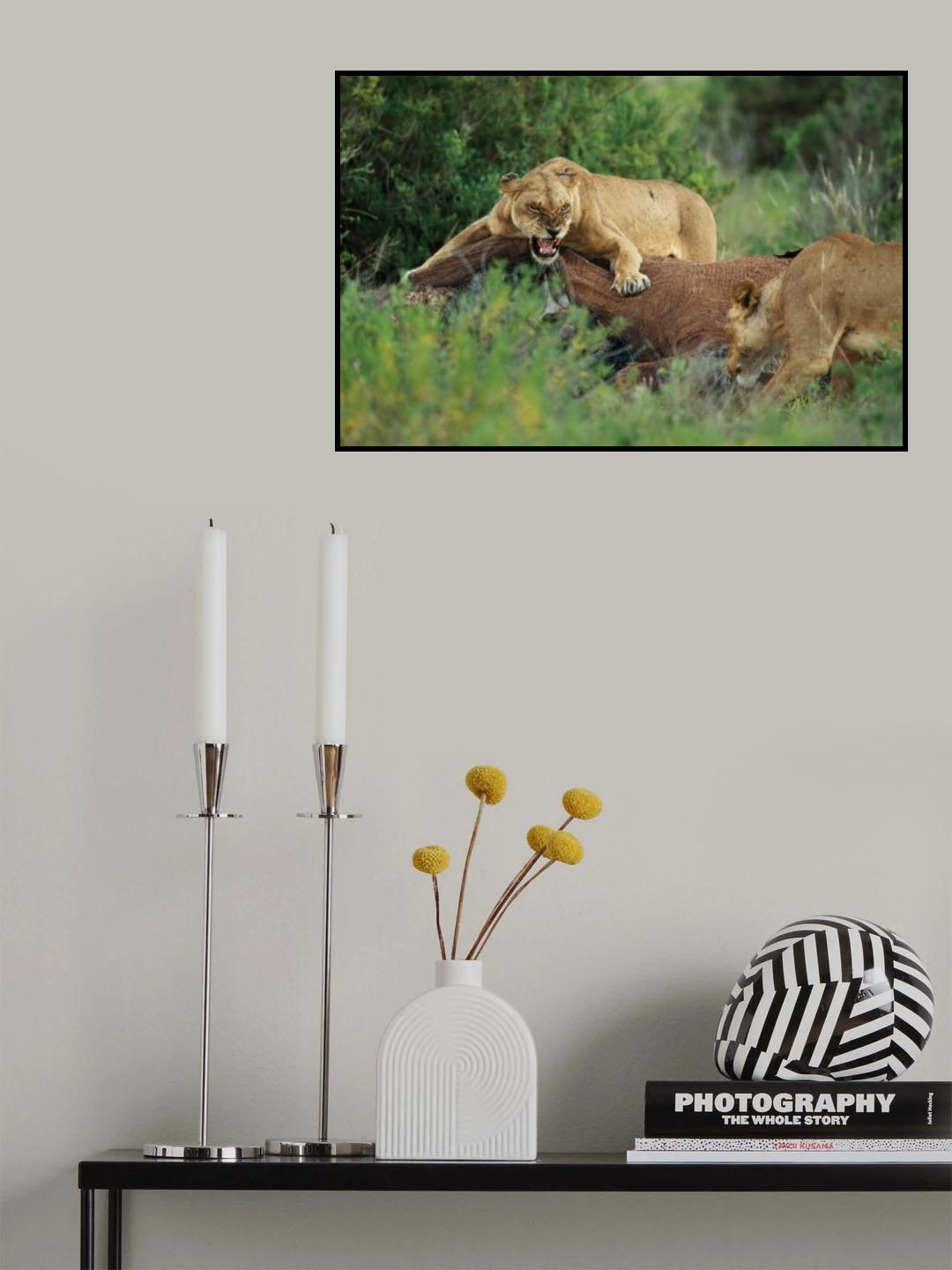 Wait your turn Poster och Canvastavla