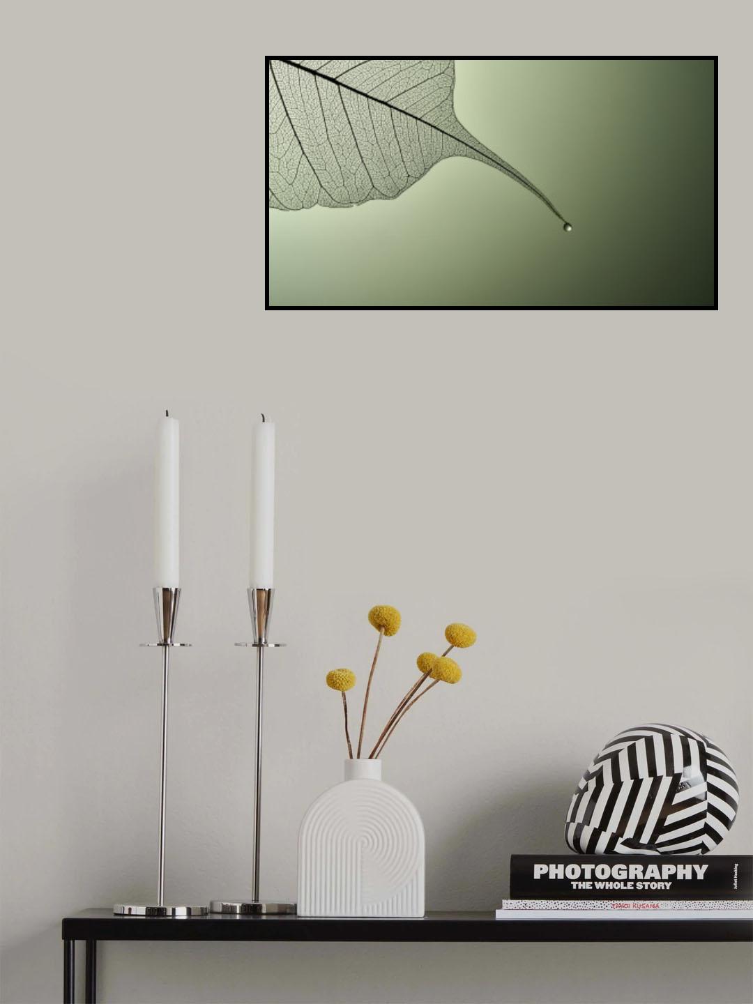 Detailss Poster och Canvastavla