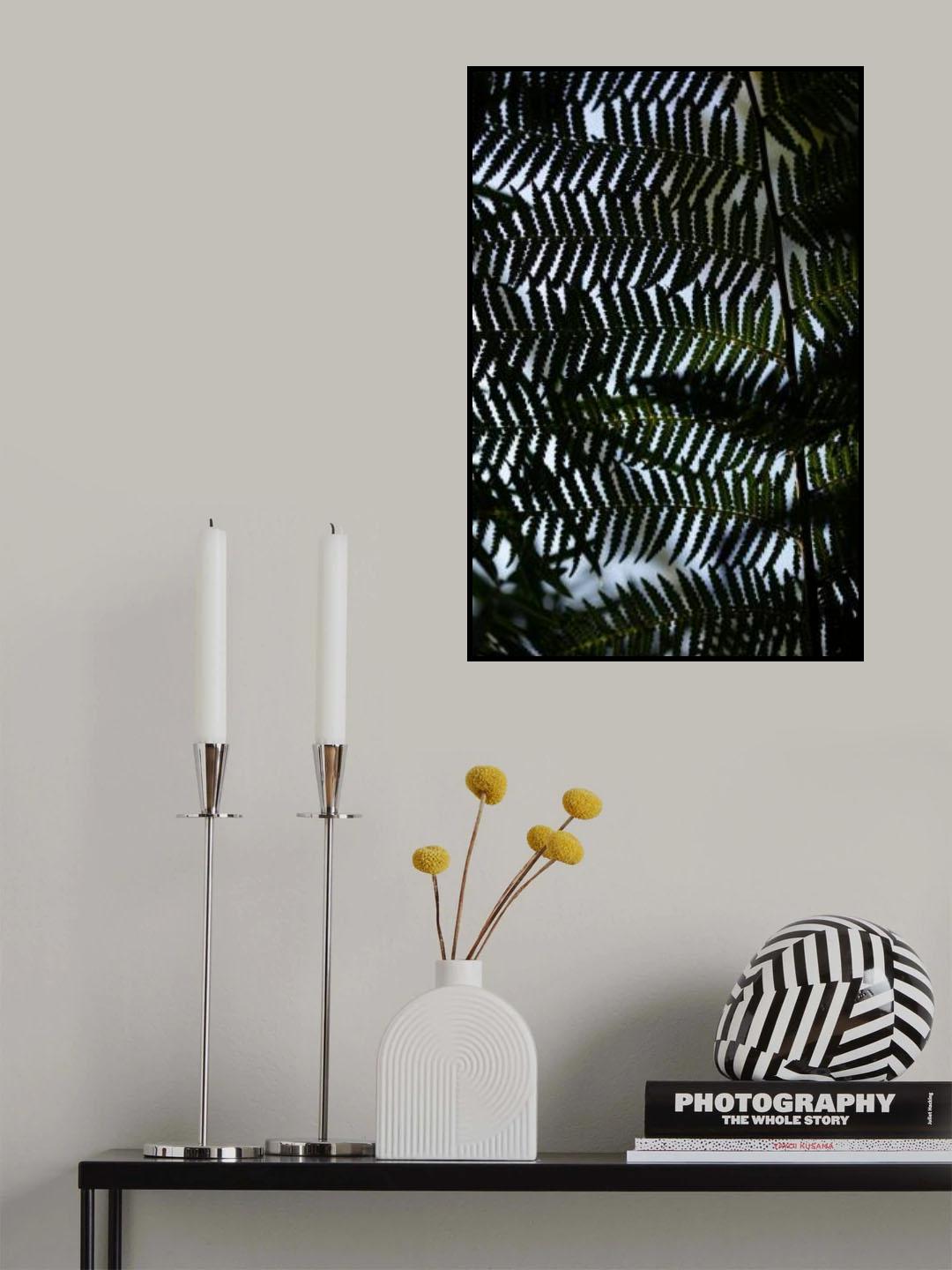 Fern Leaves_1 Poster och Canvastavla
