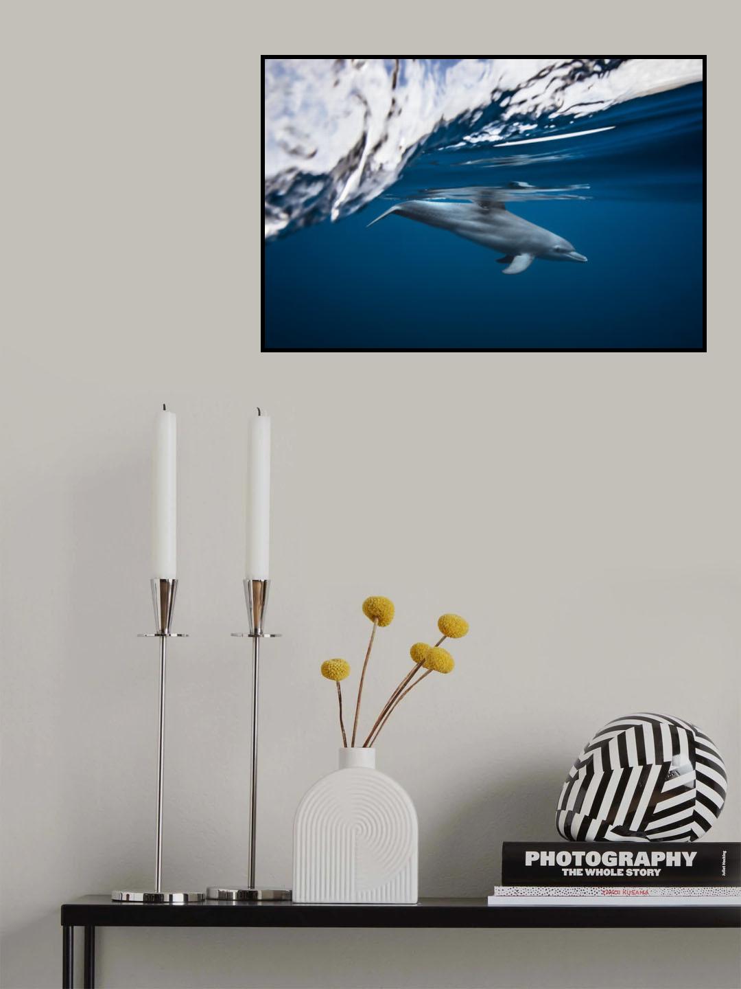Bottlenose dolphin / Turciops Aduncus Poster och Canvastavla