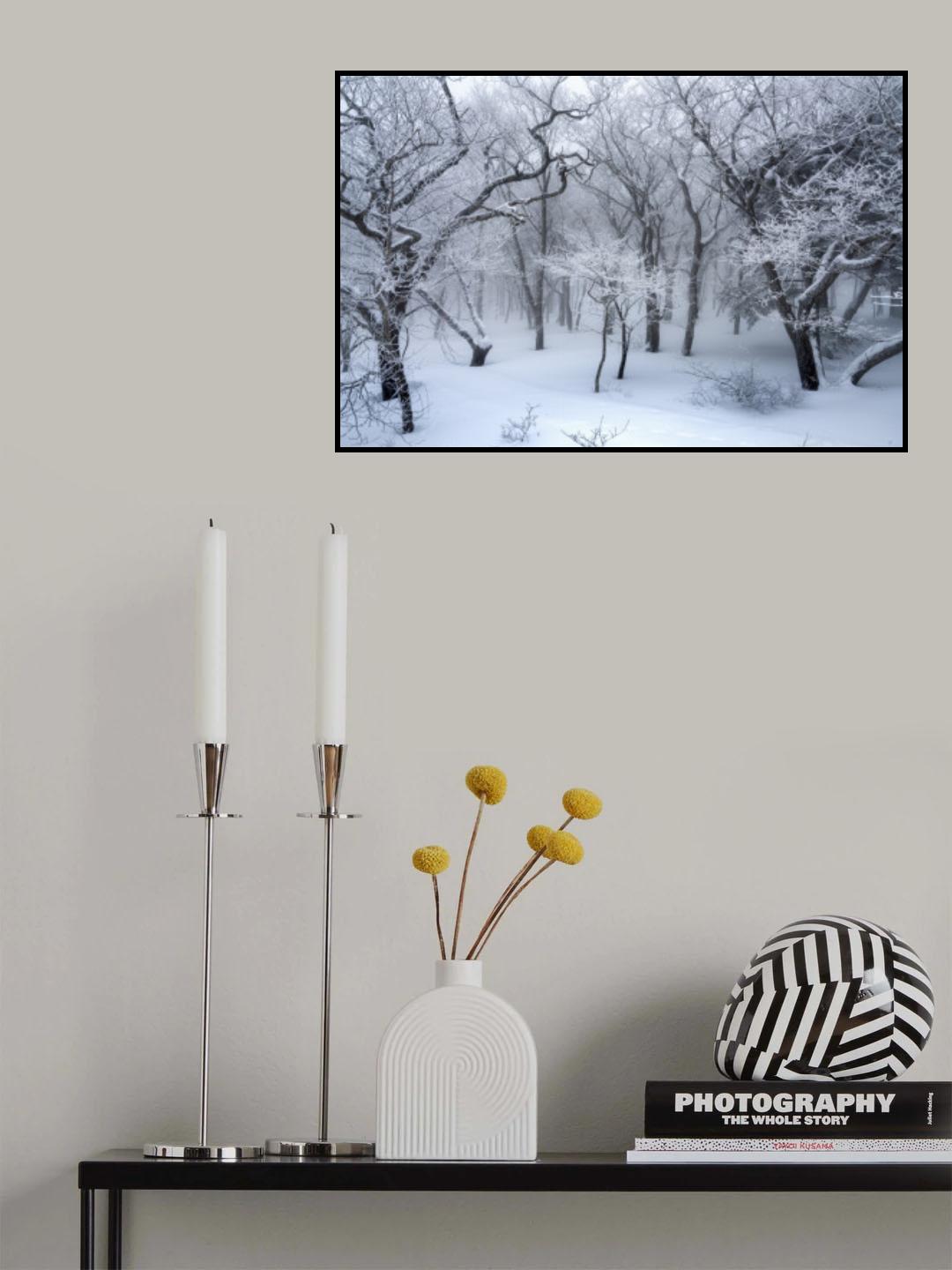 white forest Poster och Canvastavla