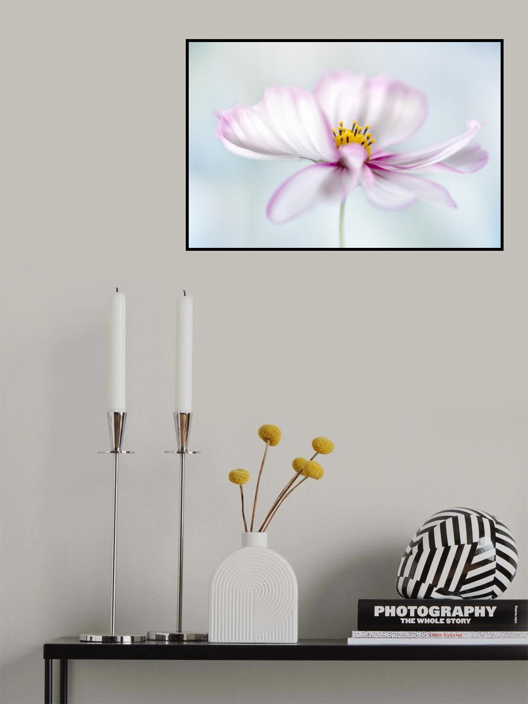 Cosmos Poster och Canvastavla