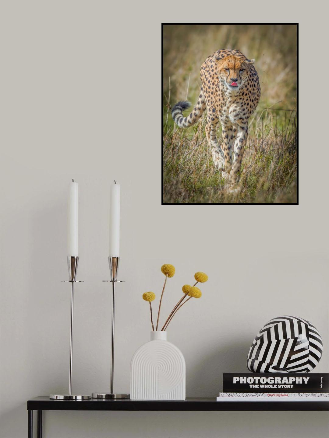 New Entry Poster och Canvastavla