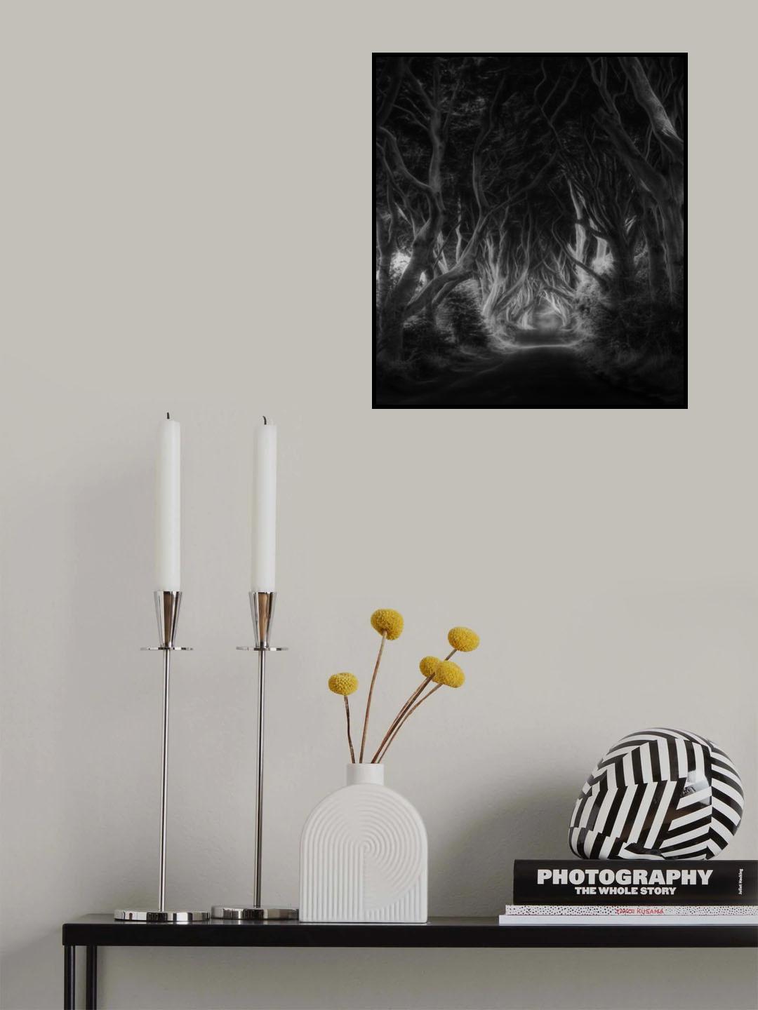 The dark hedges Poster och Canvastavla